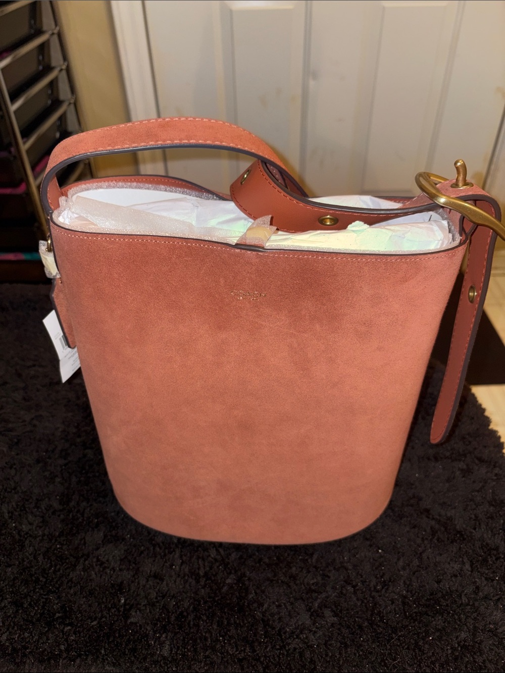 Coach Bleecker Bucket Suede Bag with Pouch NWT Clay